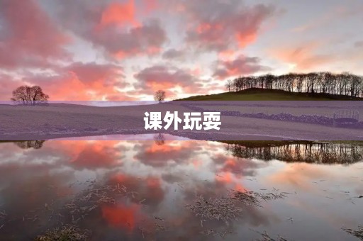 课外玩耍 课外玩耍