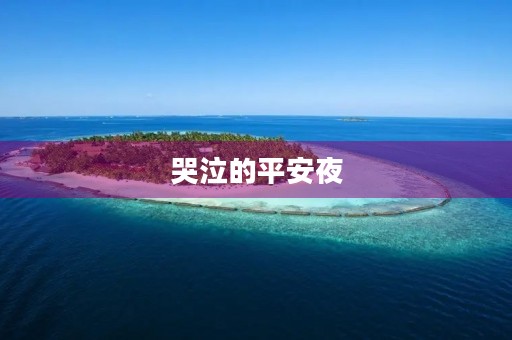 哭泣的平安夜 哭泣的平安夜