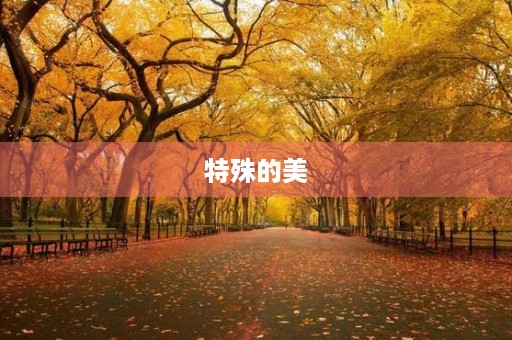 特殊的美