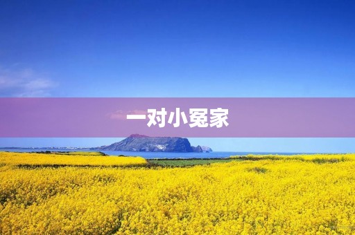 一对小冤家 一对小冤家