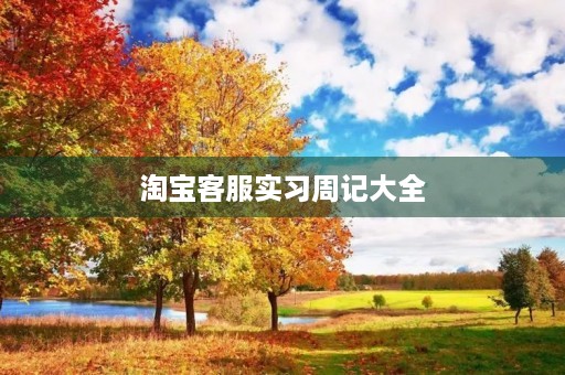淘宝客服实习周记大全