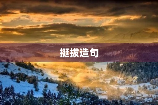 挺拔造句