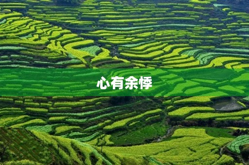 心有余悸 心有余悸