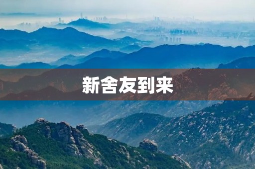 新舍友到来