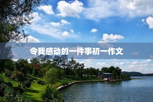 令我感动的一件事初一作文