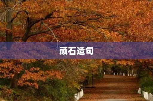 顽石造句 顽石造句