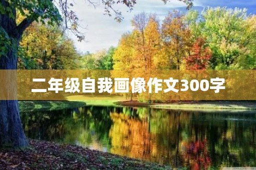 二年级自我画像作文300字 二年级自我画像作文300字