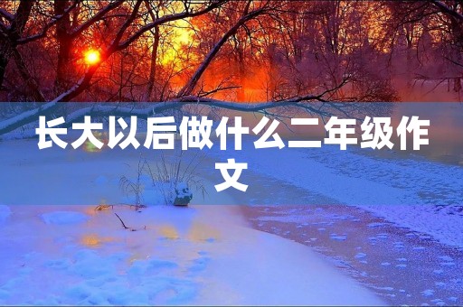 长大以后做什么二年级作文
