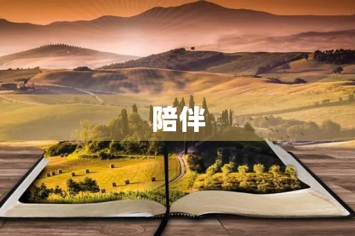 陪伴 陪伴