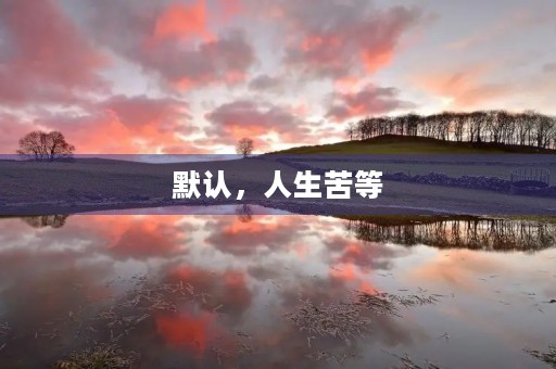 默认，人生苦等
