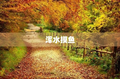浑水摸鱼 浑水摸鱼