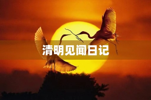 清明见闻日记 清明见闻日记