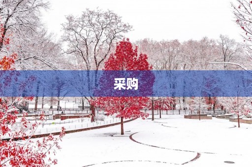 采购 采购