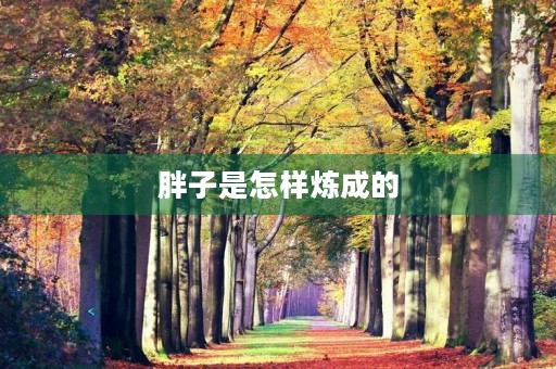 胖子是怎样炼成的 胖子是怎样炼成的