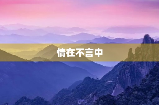 情在不言中 情在不言中
