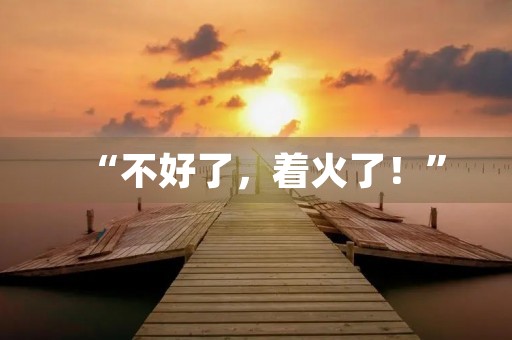 “不好了,着火了!” “不好了,着火了!”