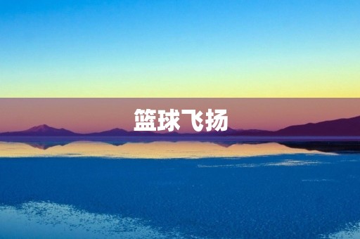 篮球飞扬 篮球飞扬