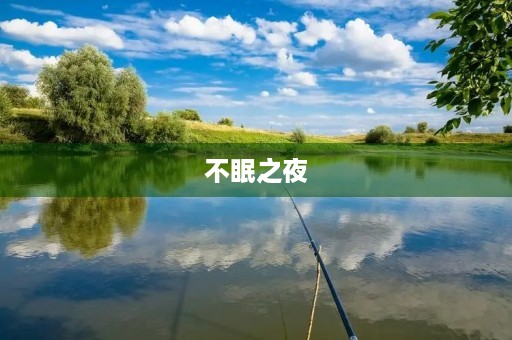 不眠之夜 不眠之夜