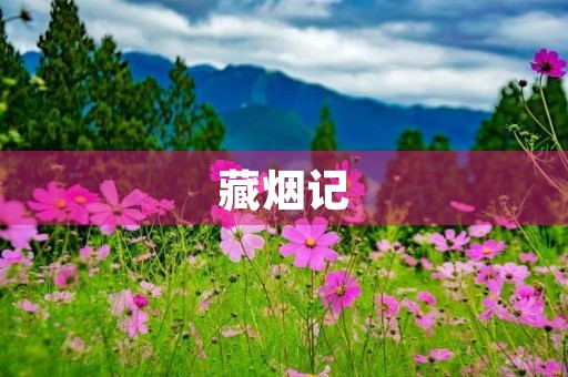 藏烟记 藏烟记