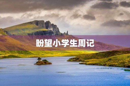 盼望小学生周记
