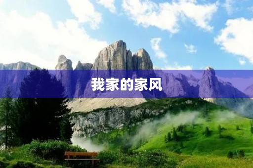 我家的家风 我家的家风
