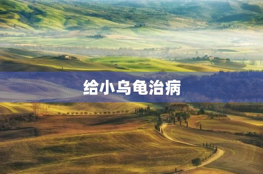 给小乌龟治病 给小乌龟治病