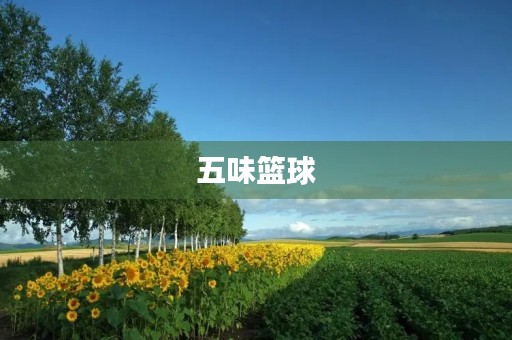 五味篮球 五味篮球