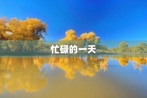 忙碌的一天 忙碌的一天