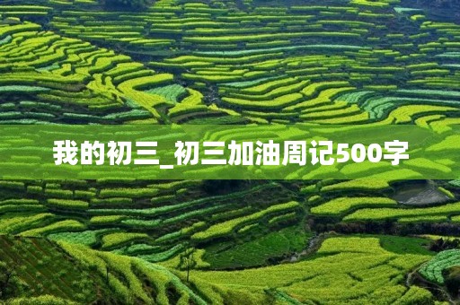 我的初三_初三加油周记500字 我的初三_初三加油周记500字