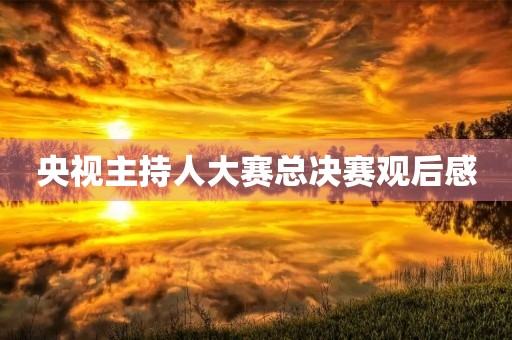 央视主持人大赛总决赛观后感