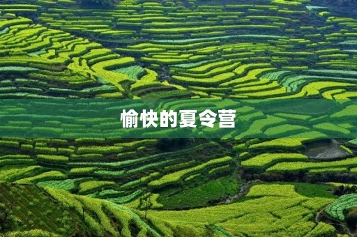 愉快的夏令营 愉快的夏令营