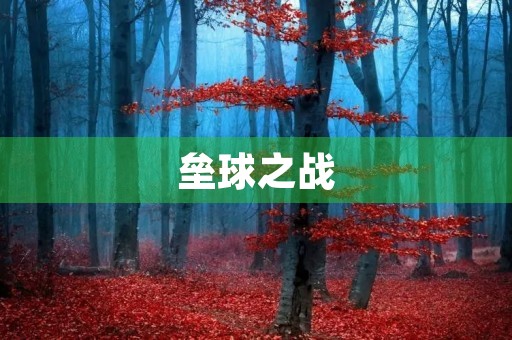 垒球之战 垒球之战
