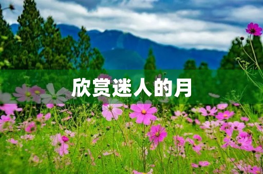 欣赏迷人的月 欣赏迷人的月