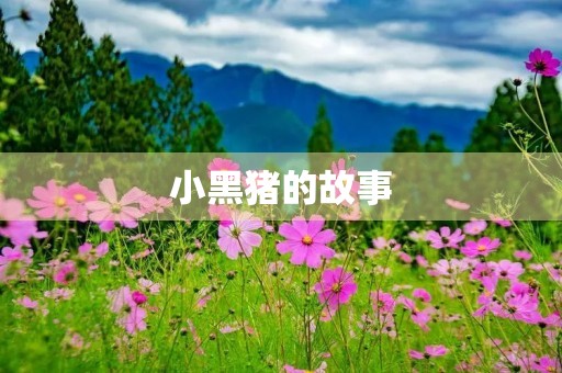 小黑猪的故事