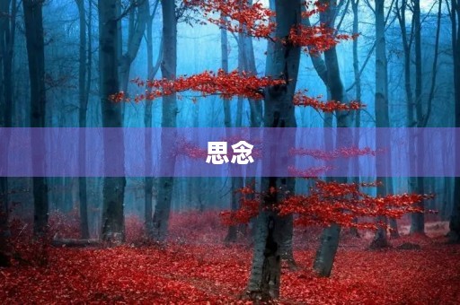 思念