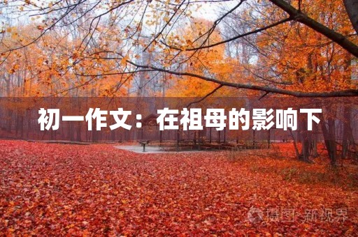初一作文：在祖母的影响下