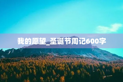 我的愿望_圣诞节周记600字