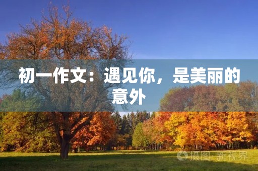 初一作文：遇见你，是美丽的意外