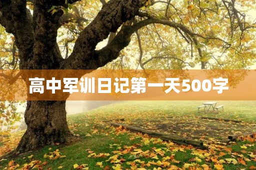 高中军训日记第一天500字