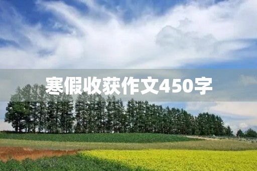 寒假收获作文450字