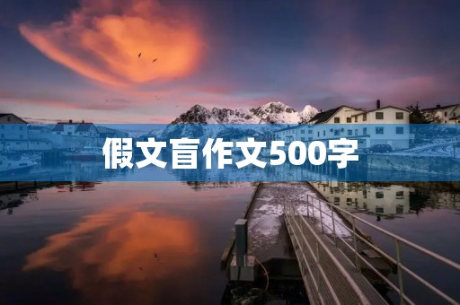 假文盲作文500字 假文盲作文500字