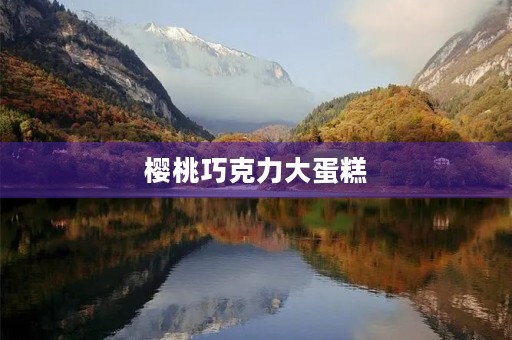 樱桃巧克力大蛋糕 樱桃巧克力大蛋糕