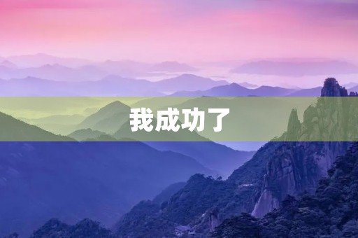 我成功了 我成功了