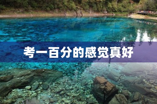 考一百分的感觉真好 考一百分的感觉真好