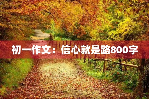 初一作文：信心就是路800字