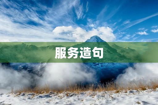 服务造句 服务造句