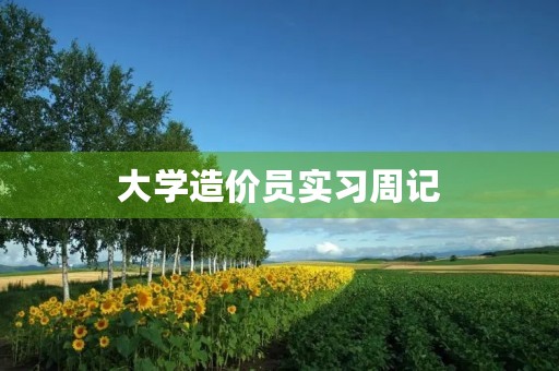 大学造价员实习周记 大学造价员实习周记