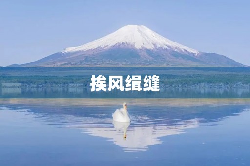 挨风缉缝 挨风缉缝