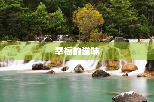 幸福的滋味 幸福的滋味