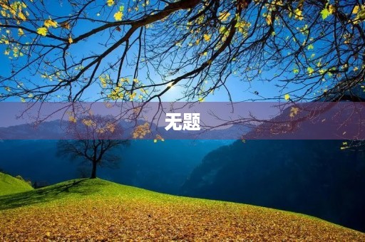 无题